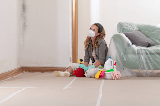 Reliable Attic Mold Removal contractor in Mont Clare, PA by WQB Mold Removal