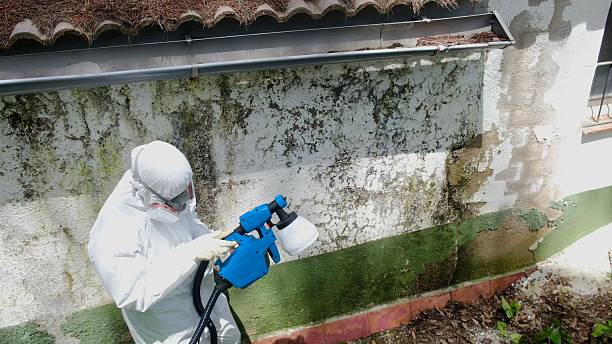 Top rated local Attic Mold Removal specialists in Mont Clare, PA
